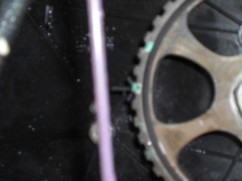Anhang ID 87104 - CIMG0275.JPG