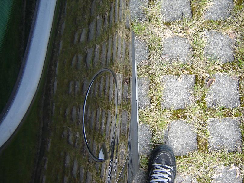 Anhang ID 13468 - Kotfluegel_hinten_oben.JPG