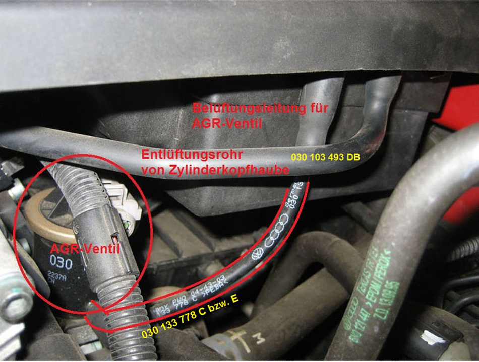 Anhang ID 206190 - AUC AGR_.jpg