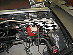 motor-sascha 016.jpg