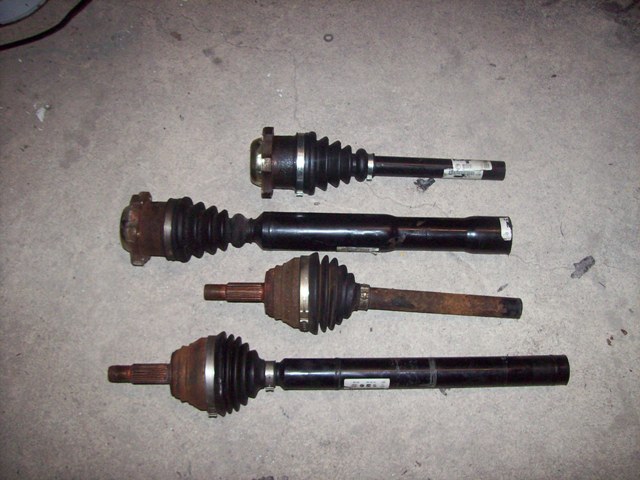Anhang ID 88486 - 100_4601.jpg
