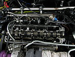 IMG_1010.JPG