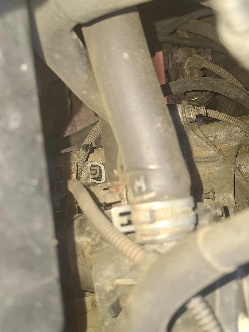 Anhang ID 206194 - WhatsApp Image 2026-02-11 at 14.38.16.jpeg