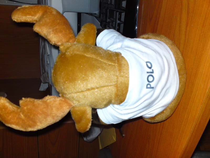 Anhang ID 119070 - DSC02176.JPG