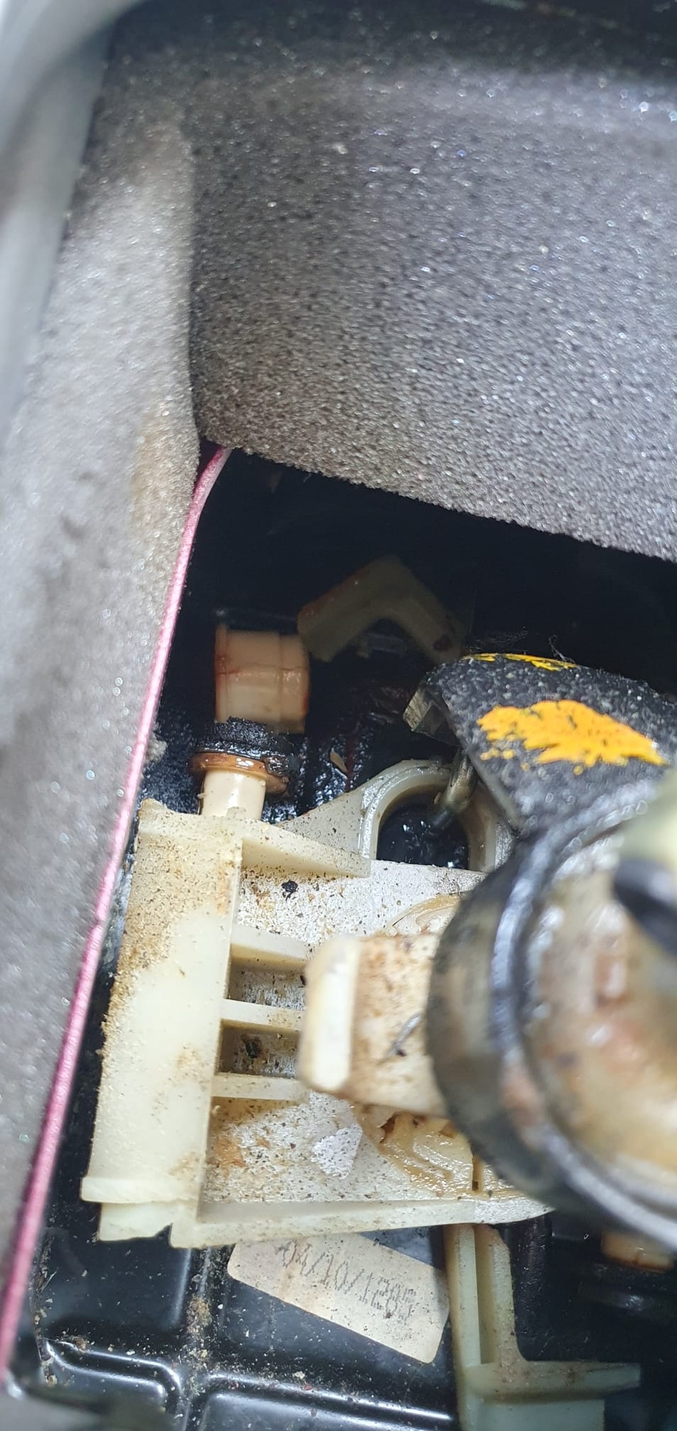 Anhang ID 206150 - WhatsApp Bild 2025-11-18 um 15.40.56_f3c04251.jpg