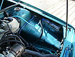 SL271354.JPG