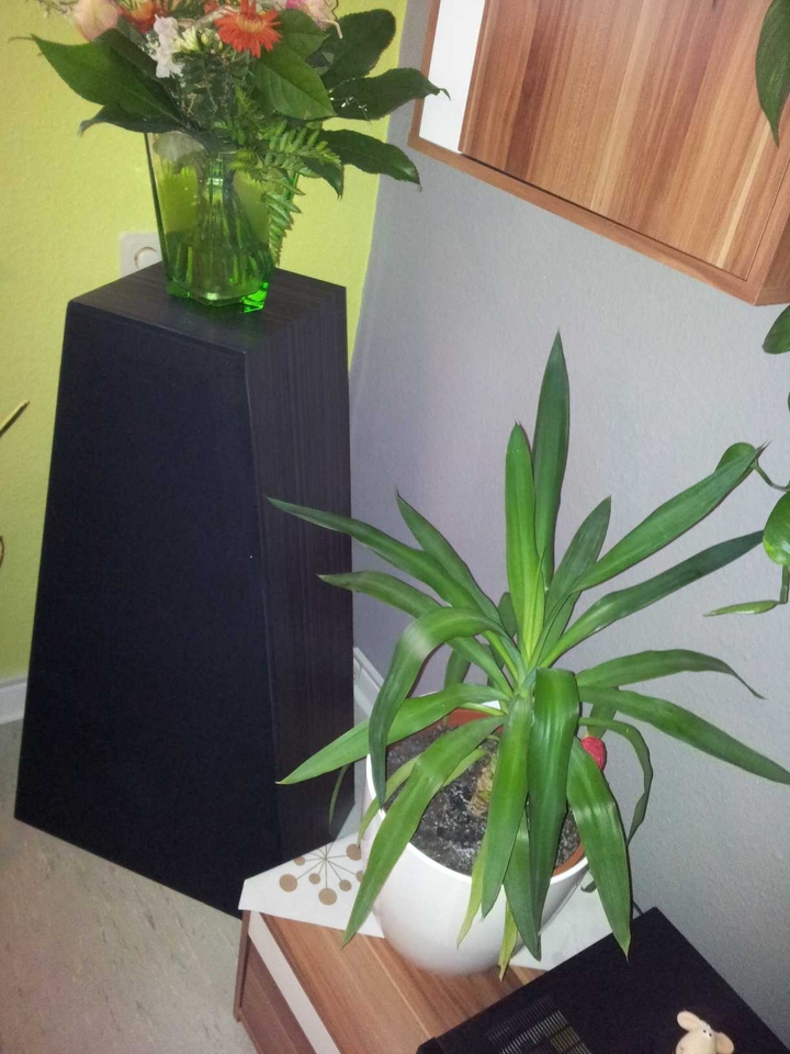 Anhang ID 154746 - 2012-03-11 15.35.14.jpg