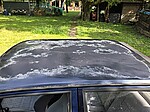 20260614_173129.jpg