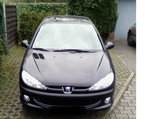 Anhang ID 33308 - Peugeot 206 Front.JPG