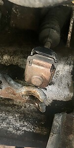IMG_3388.JPG