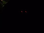 20251009_053103.jpg