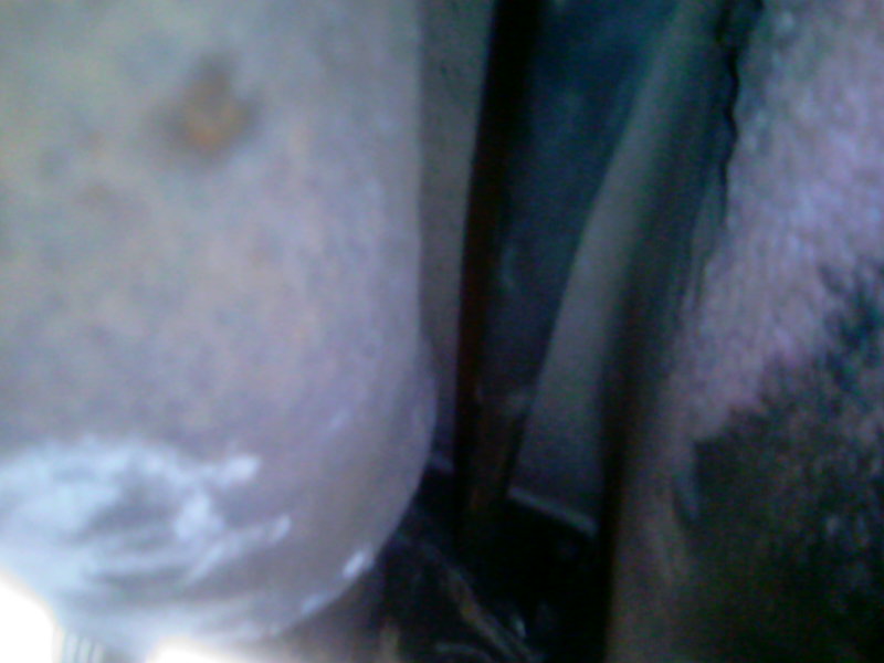 Anhang ID 15247 - bild-0064.jpg