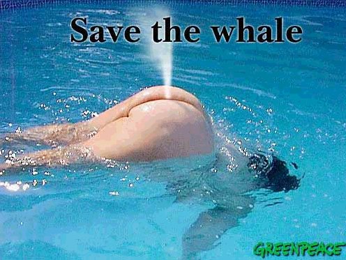 Anhang ID 2676 - Save whales.jpg