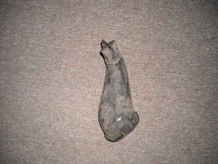 Anhang ID 151521 - DSCN1088.JPG