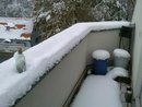 Foto813.jpg