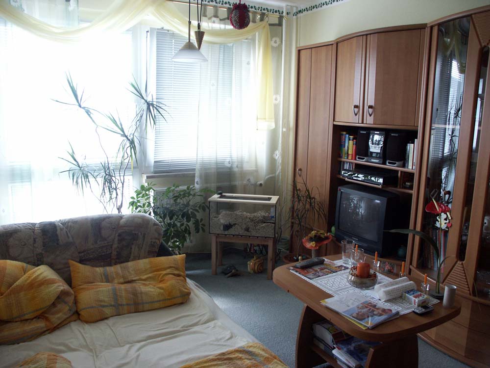 Anhang ID 15156 - PICT0009.JPG