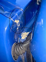 IMG_1493.jpeg