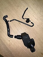 IMG_7340.jpeg