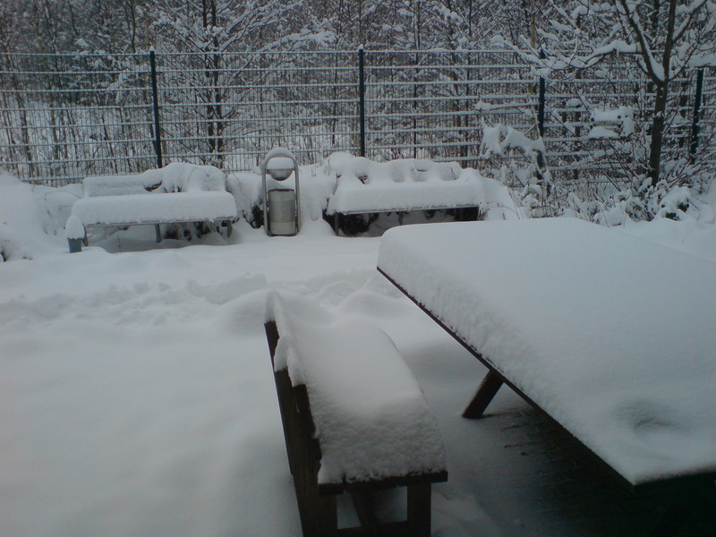 Anhang ID 130168 - winter 2010.JPG