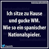 Anhang ID 183695 - s170_ich-sitze-zu-hause-und-gucke-wm-wie-so-ein-spanischer-nationalspieler.jpg