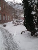 Schnee.jpg