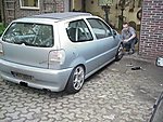 Polo hinten.jpg