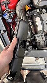 IMG_3563.JPEG