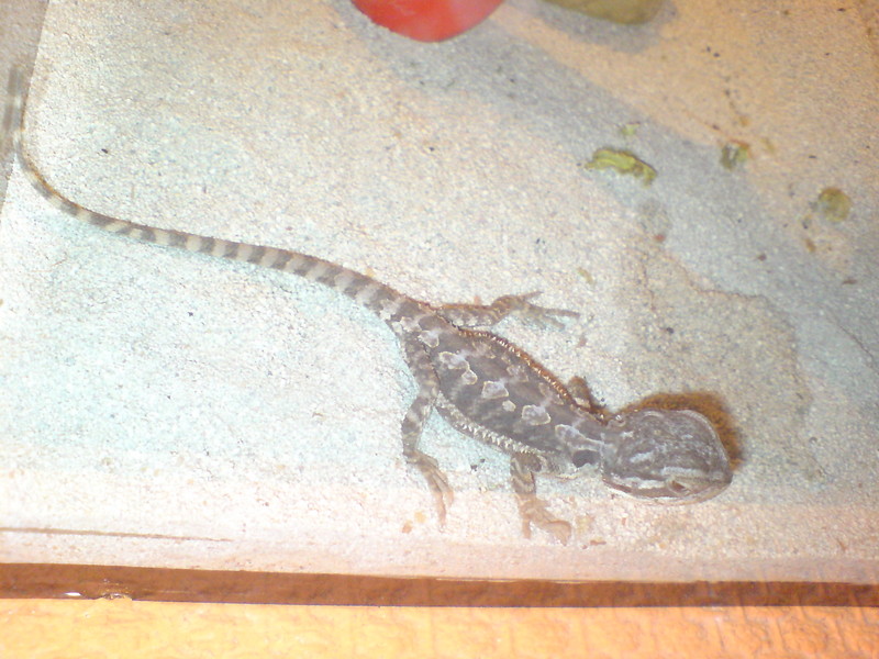 Anhang ID 76785 - DSC00640.JPG