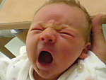 DSC00112.jpg