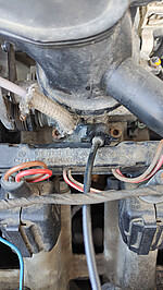 IMG_20250420_164453.