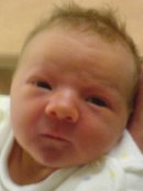 DSC00114.jpg