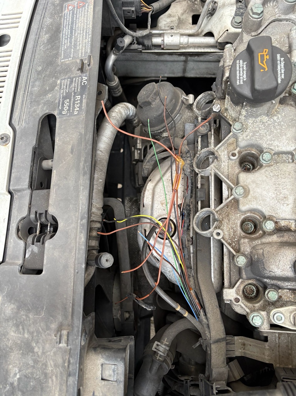 Anhang ID 206200 - polo zuend (2).jpg