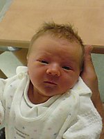 DSC00110.jpg