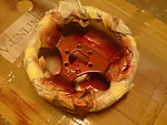 DSC02094.JPG