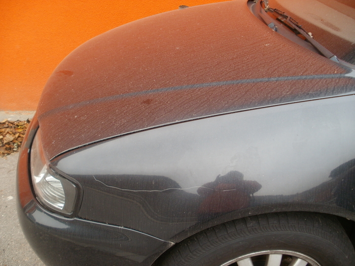 Anhang ID 156965 - PB100009.JPG