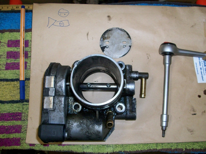 Anhang ID 170588 - 100_2669.JPG