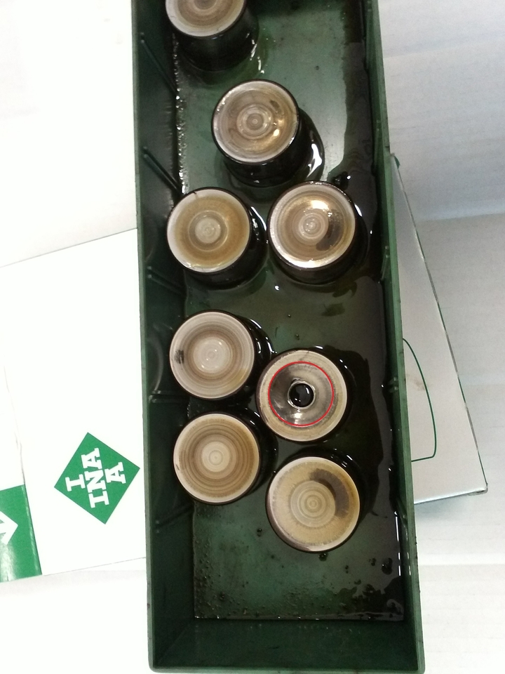 Anhang ID 166486 - Hydros.jpg