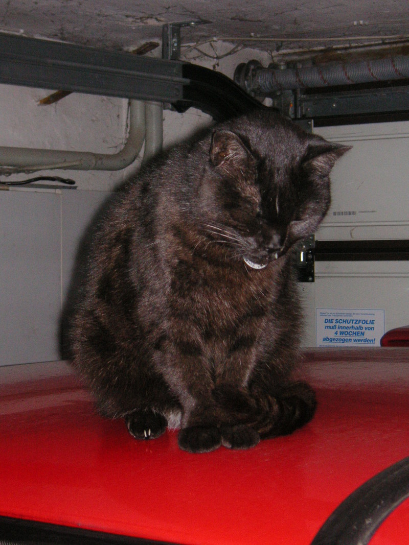 Anhang ID 47263 - PICT1130.JPG