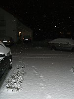 CIMG8722.JPG