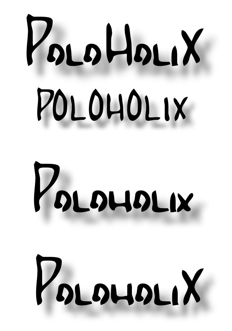 Anhang ID 86019 - poloholix1.jpg