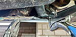 IMG_3970.jpeg