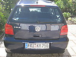 IMG_1156.JPG