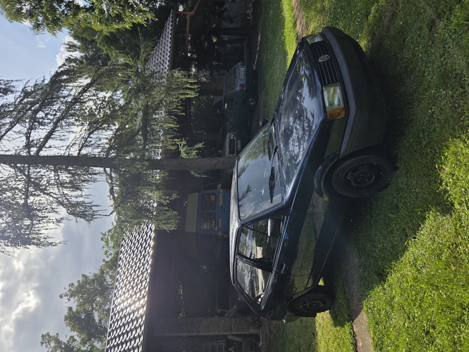 Anhang ID 206333 - 20260614_173051.jpg