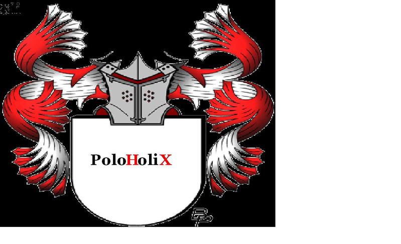 Anhang ID 86096 - PoloHoloix.JPG