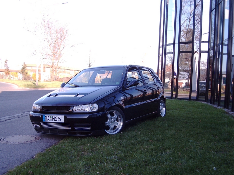 Anhang ID 27934 - Polo Schock