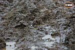 DSC02012.JPG