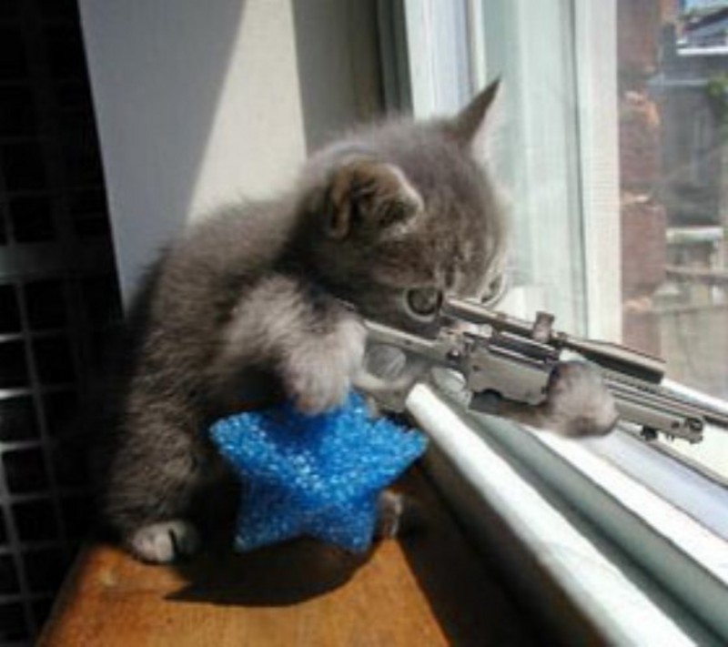Anhang ID 24188 - sniper.med