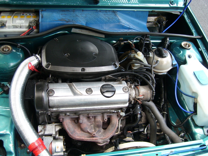 Anhang ID 73971 - SL271263.JPG