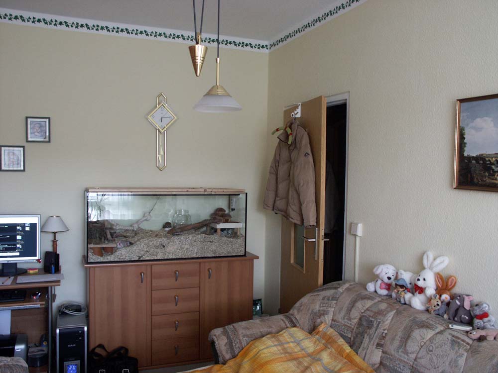 Anhang ID 15155 - PICT0011.JPG