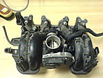 DSC00165.JPG